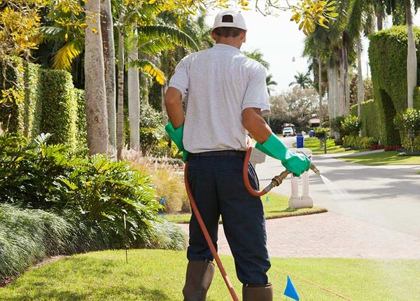 About Melrose OH Pest Control Pros